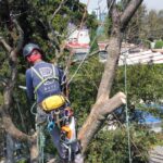 Foto de Estrella Castillo