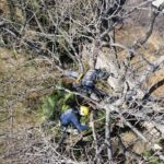 Foto de Estrella Castillo(4)